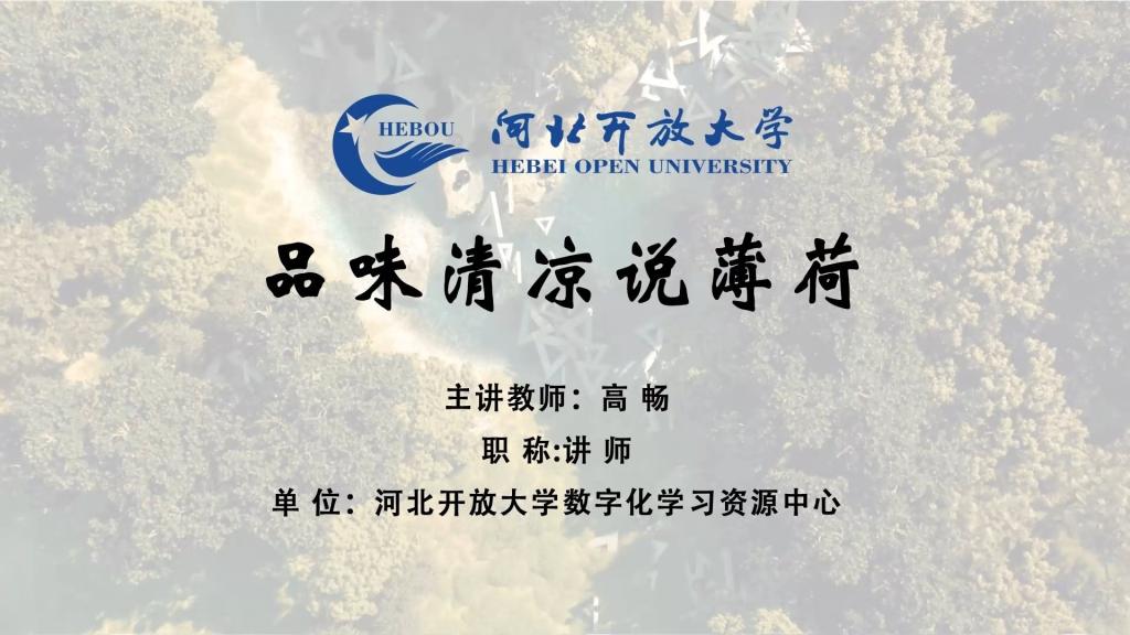 品味清涼說薄荷